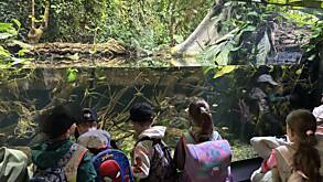 Zobesuch (1e) Fische