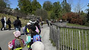 Zoobesuch (1e) unterwegs